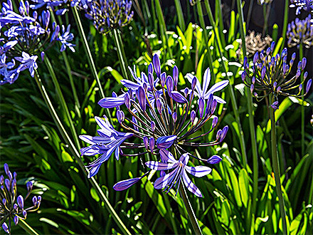 星空体育登录客户案例一