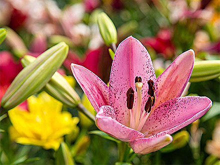 星空体育登录产品展示二